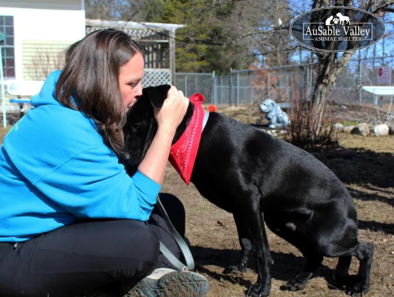 Jeff Hardy thumbnail 5