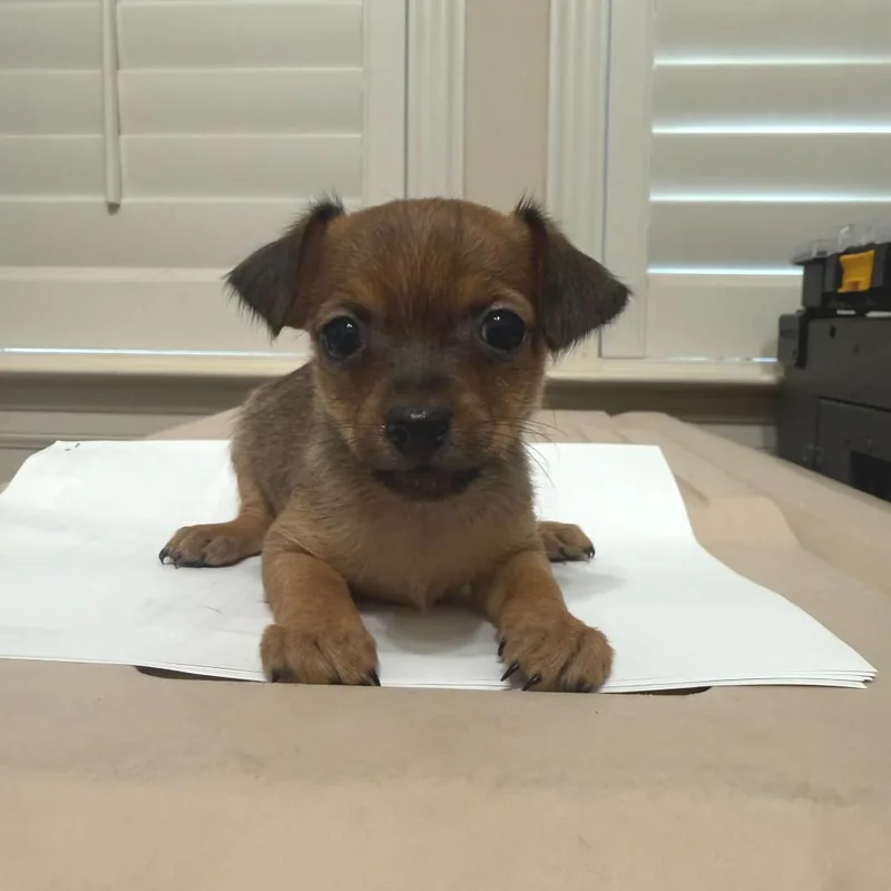 Margarita thumbnail 2