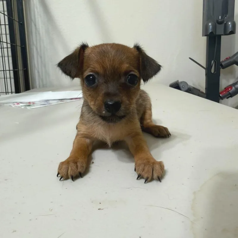 Margarita thumbnail 3