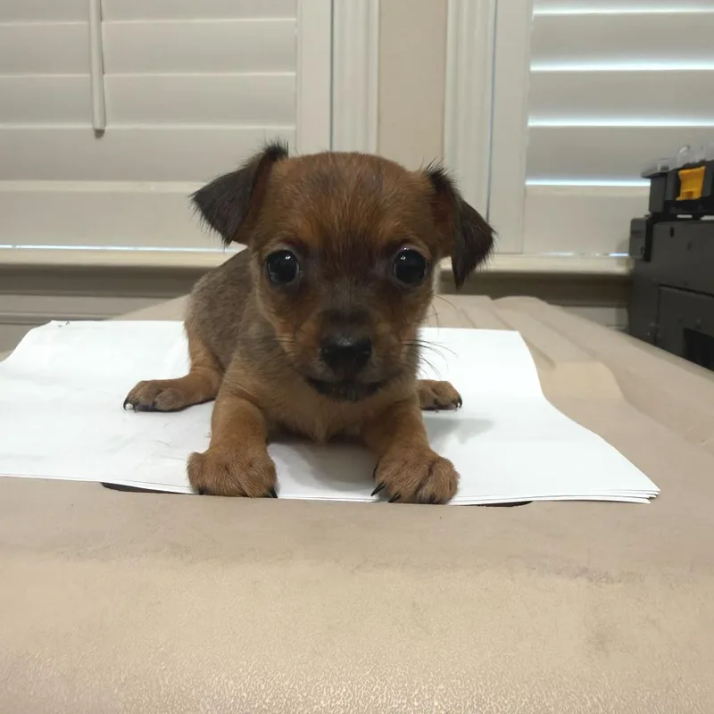 Margarita thumbnail 4