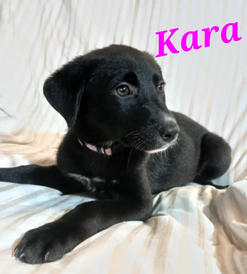 Kara