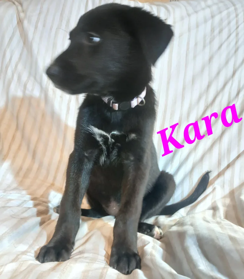 Kara thumbnail 2