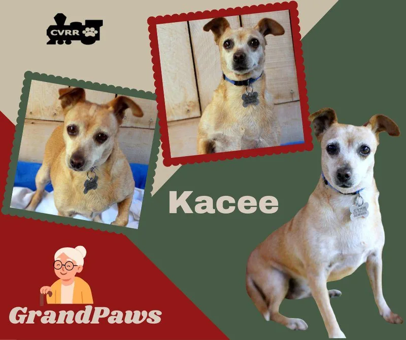 Kacee