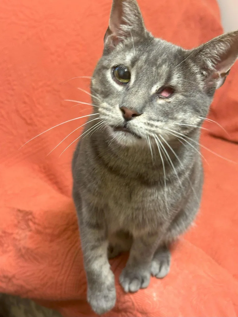 Tinkerbell thumbnail 2