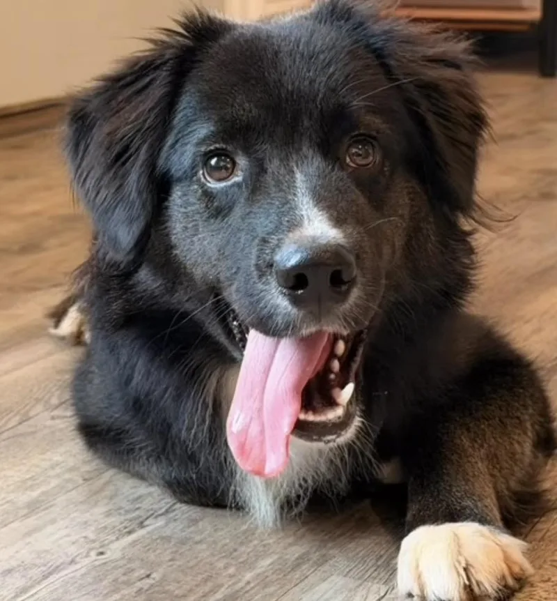 Eli
