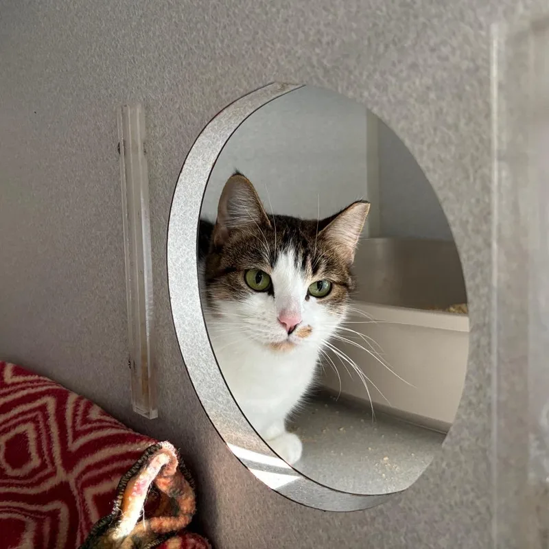 Princess Glitter Sparkles thumbnail 2