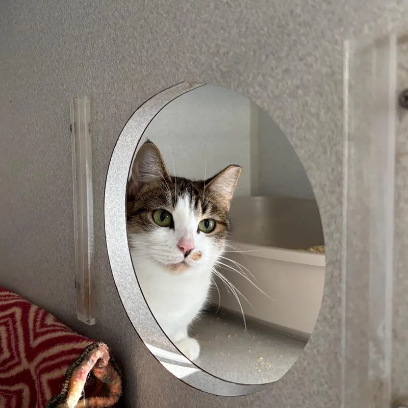 Princess Glitter Sparkles thumbnail 3