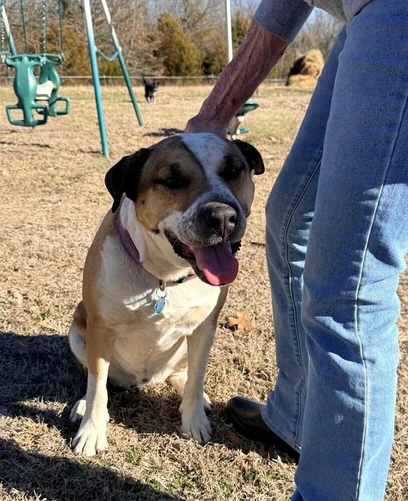 Louie  A Easy thumbnail 3