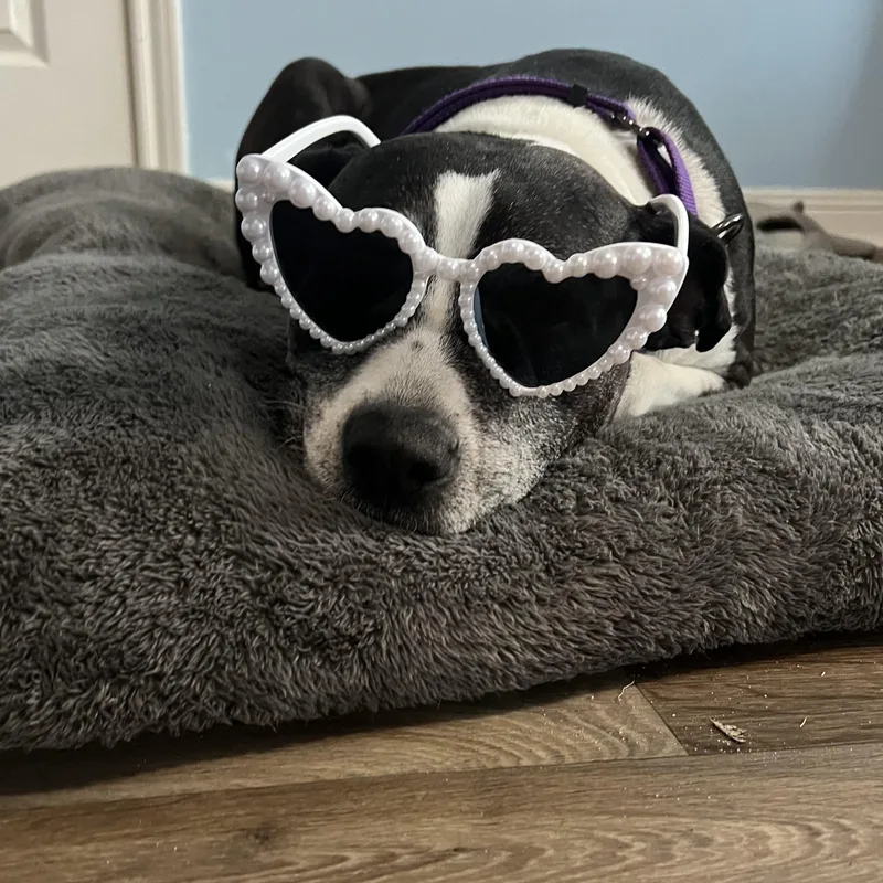 Tracy Tootsie thumbnail 5