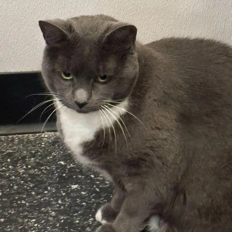 Eden & Eloise thumbnail 2