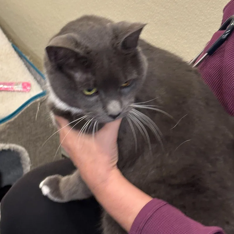 Eden & Eloise thumbnail 3