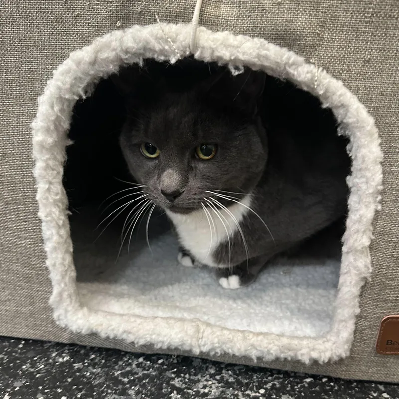 Eden & Eloise thumbnail 4