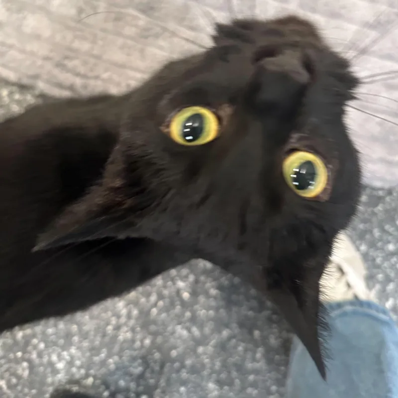 Eden & Eloise thumbnail 6