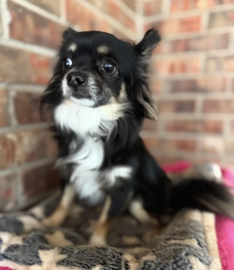 Zeke