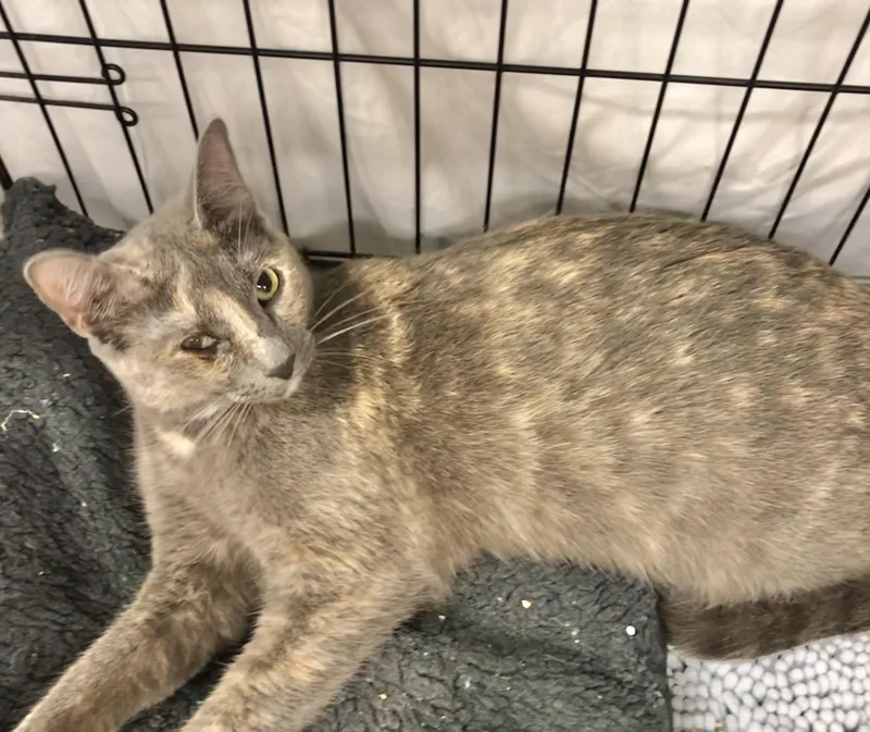 Mary Ann thumbnail 2