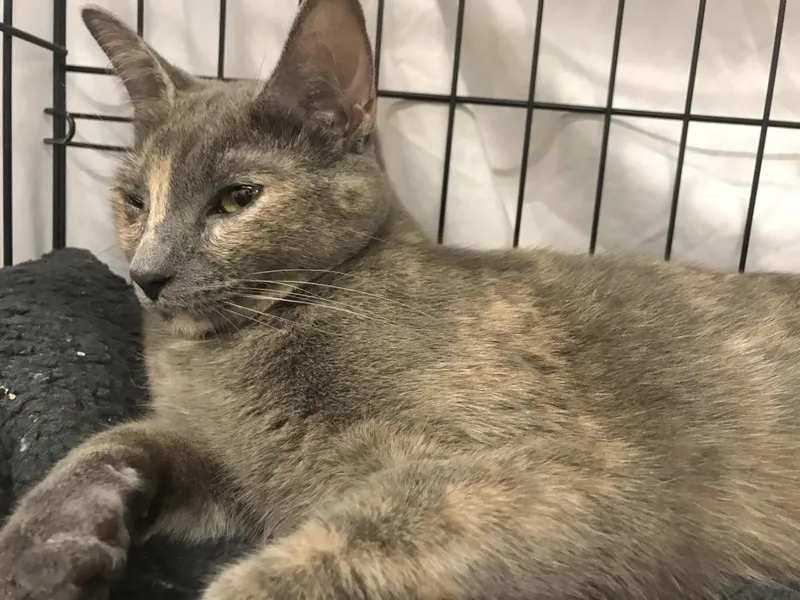 Mary Ann thumbnail 3