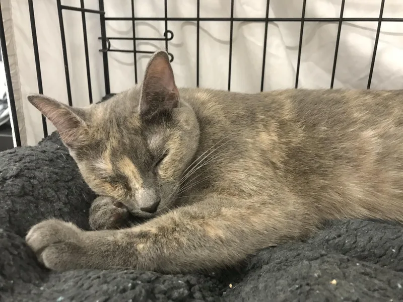 Mary Ann thumbnail 4