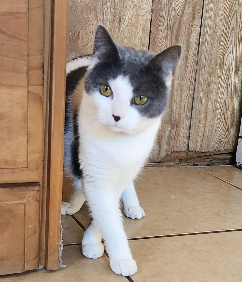 Lola Mona thumbnail 2