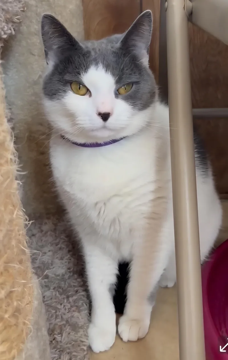 Lola Mona thumbnail 3