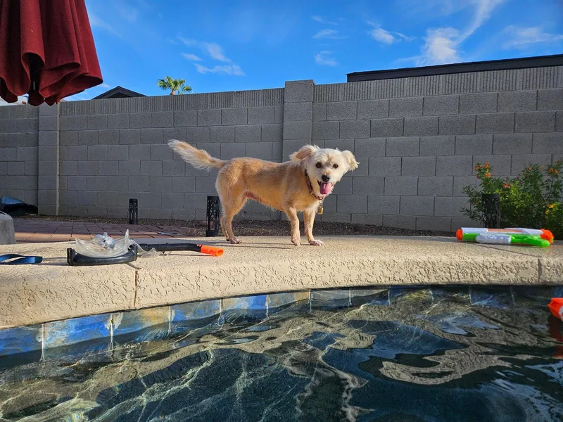 LexiWheaten thumbnail 2