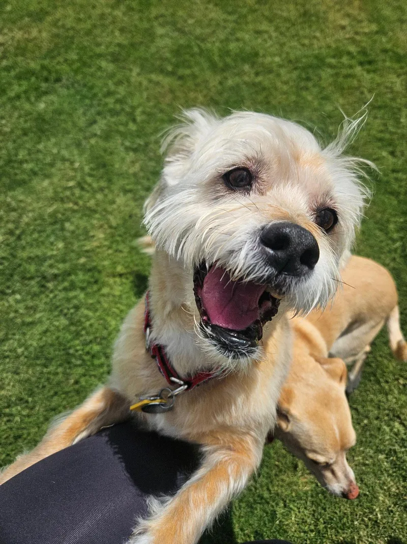 LexiWheaten thumbnail 3