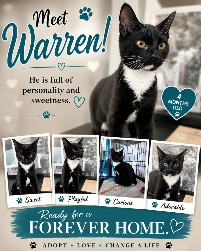 Warren