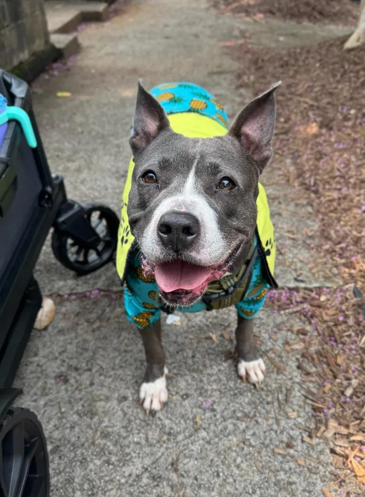 Jemma  A thumbnail 2