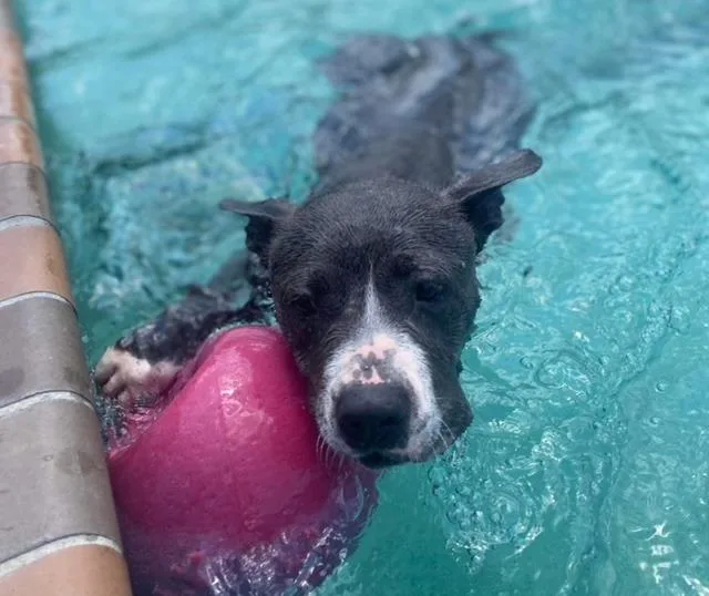 Jemma  A thumbnail 3