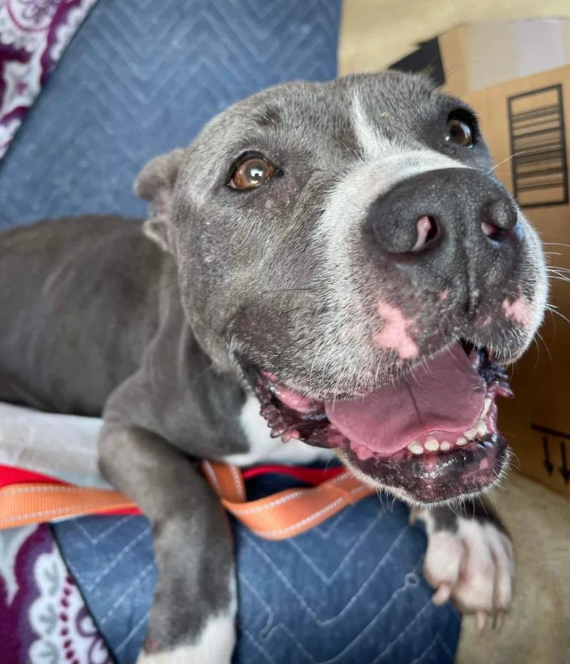 Jemma  A thumbnail 4