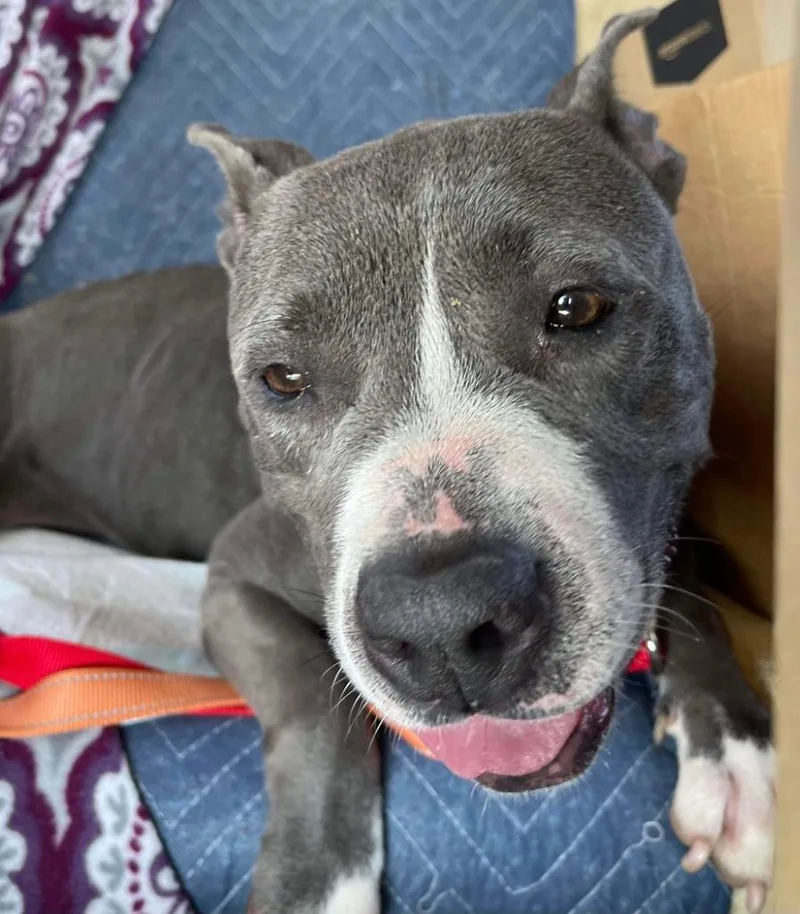 Jemma  A thumbnail 5