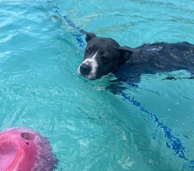 Jemma  A thumbnail 6