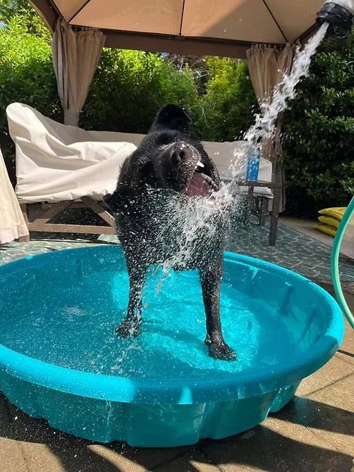 Pepper thumbnail 5