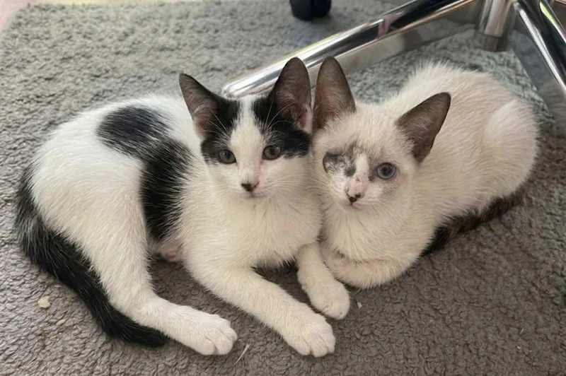 Grace O'malley thumbnail 2