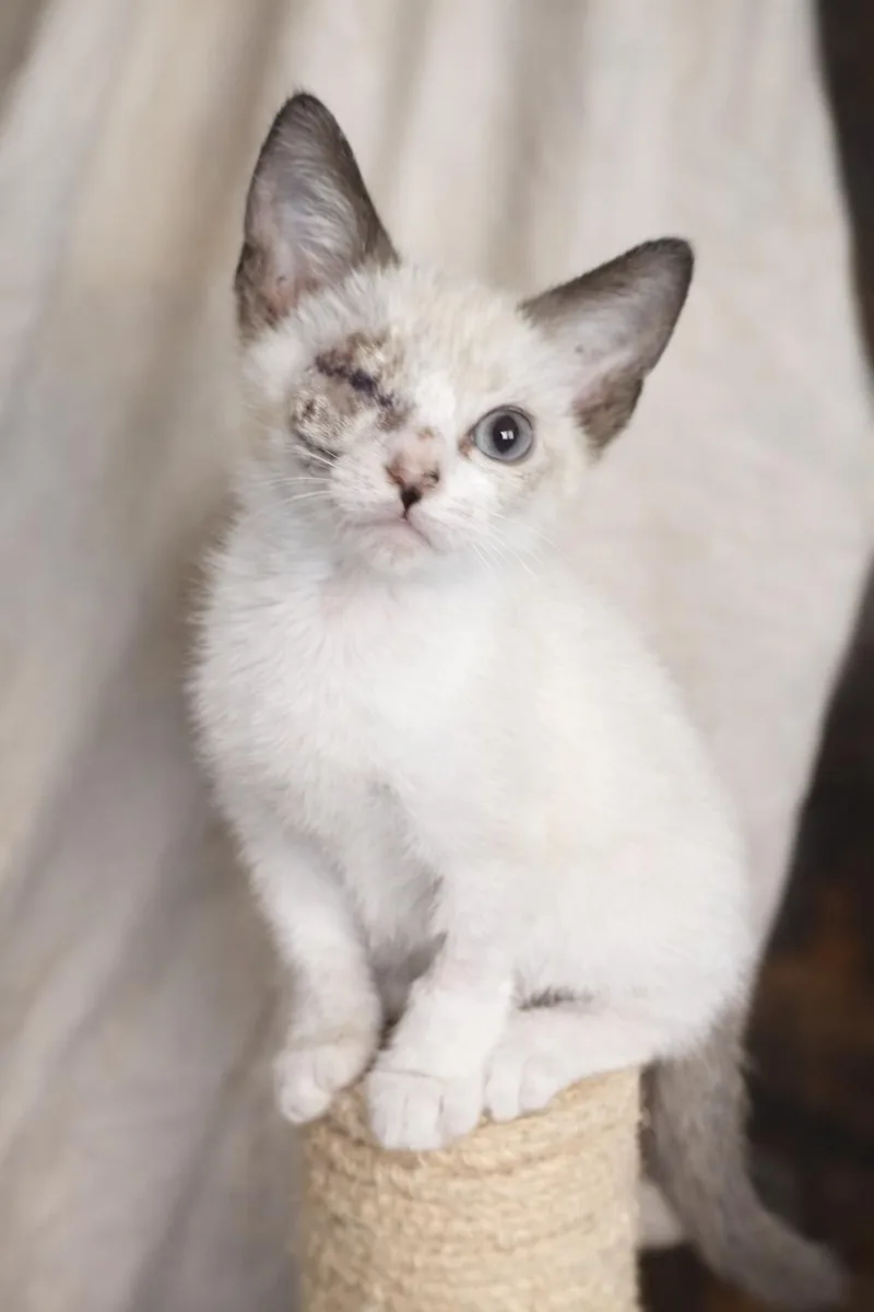 Grace O'malley thumbnail 3