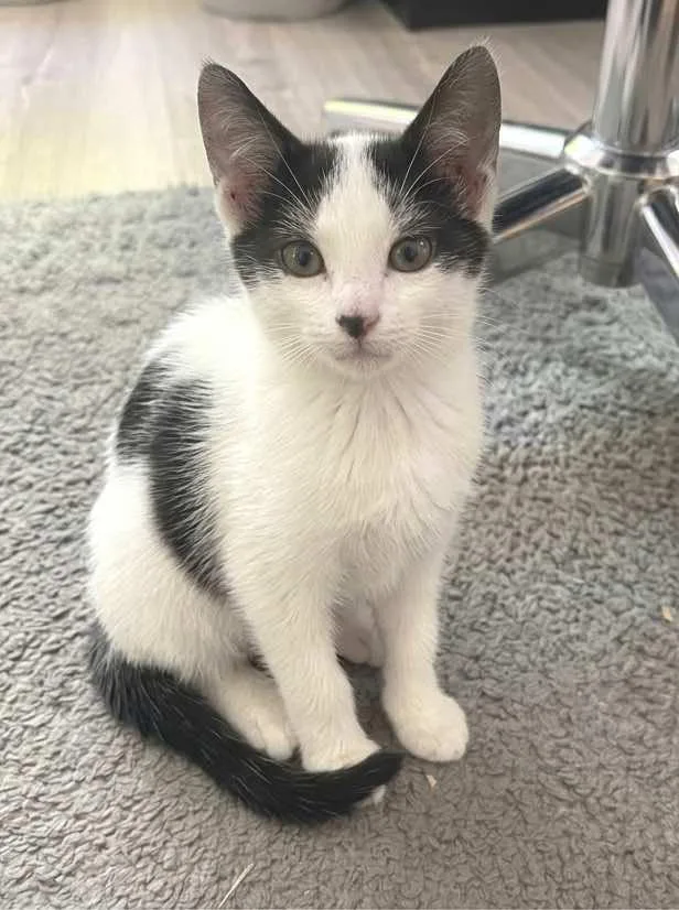 Grace O'malley thumbnail 4