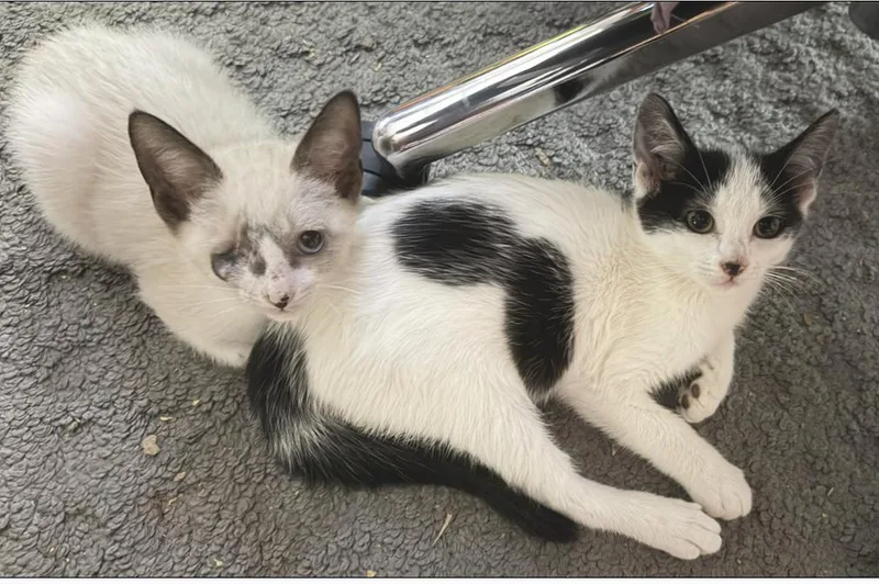 Grace O'malley thumbnail 5