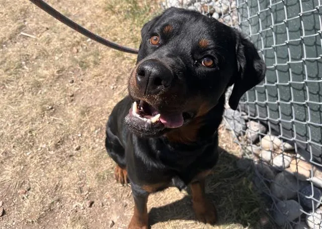 Jax