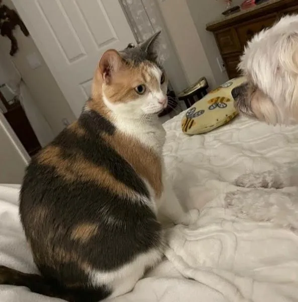 Rosie thumbnail 3