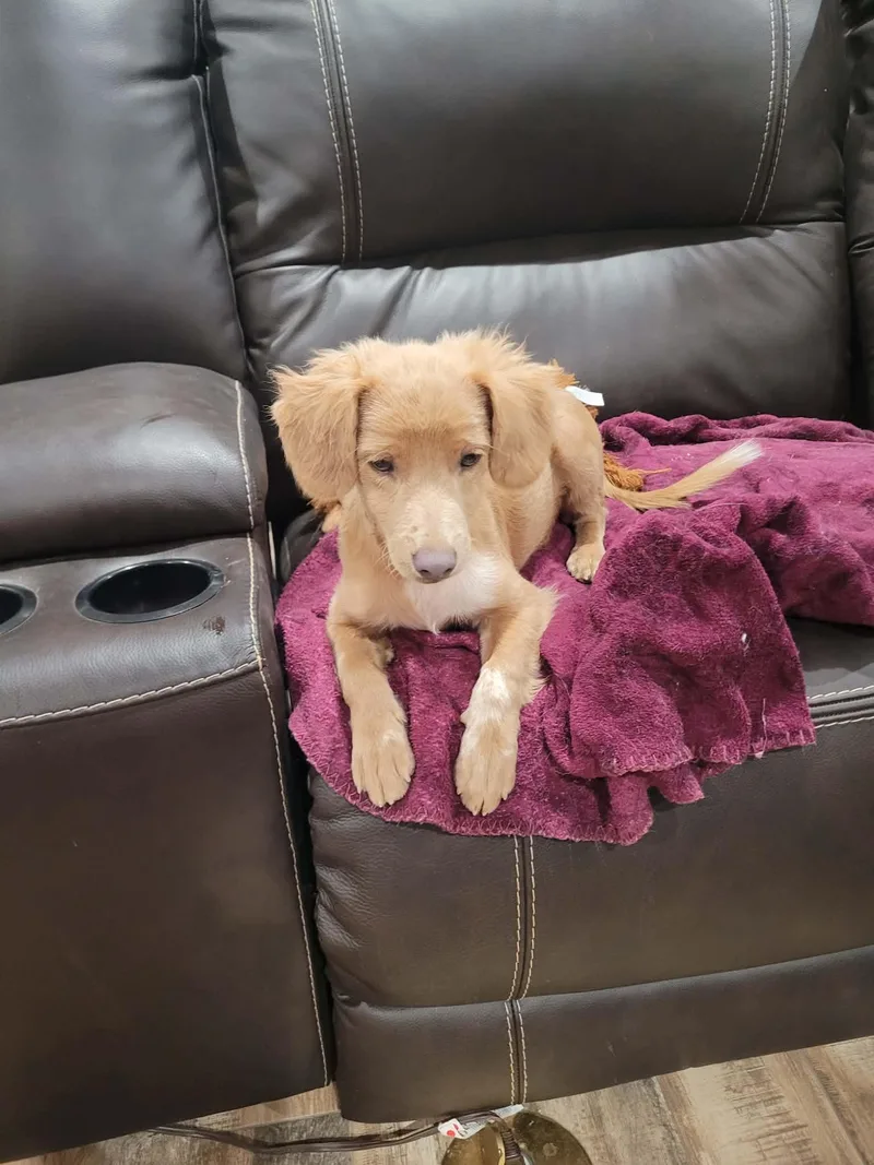 Teddy thumbnail 3