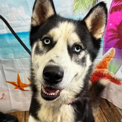 Klondike