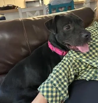 Lola thumbnail 2