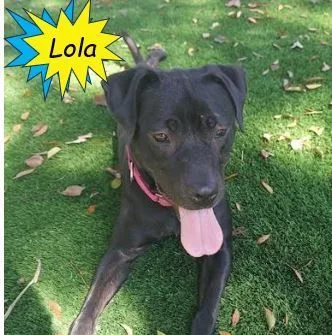 Lola thumbnail 4