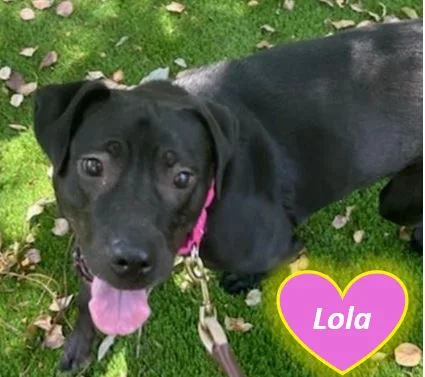 Lola thumbnail 6