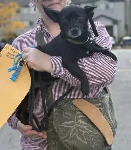 Albie thumbnail 5