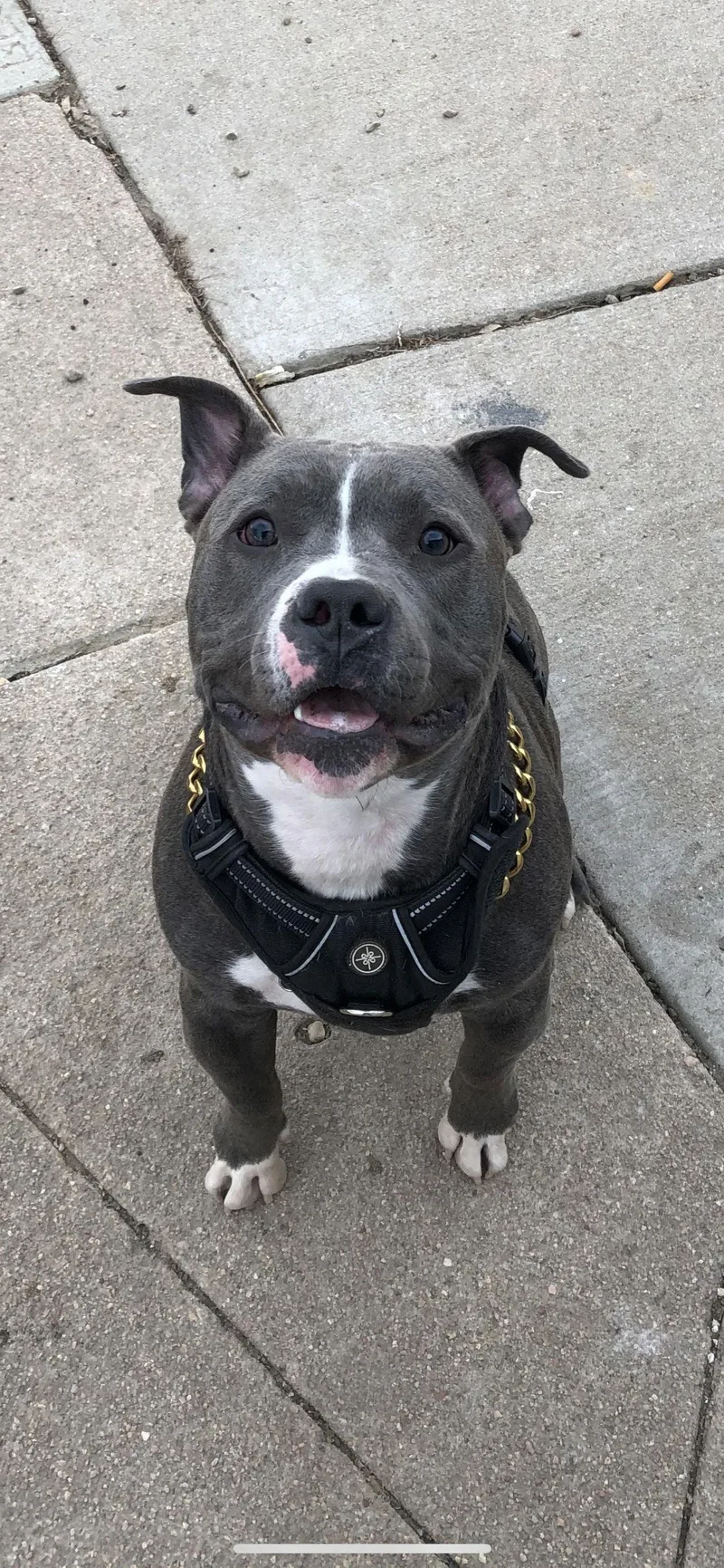 Achilles