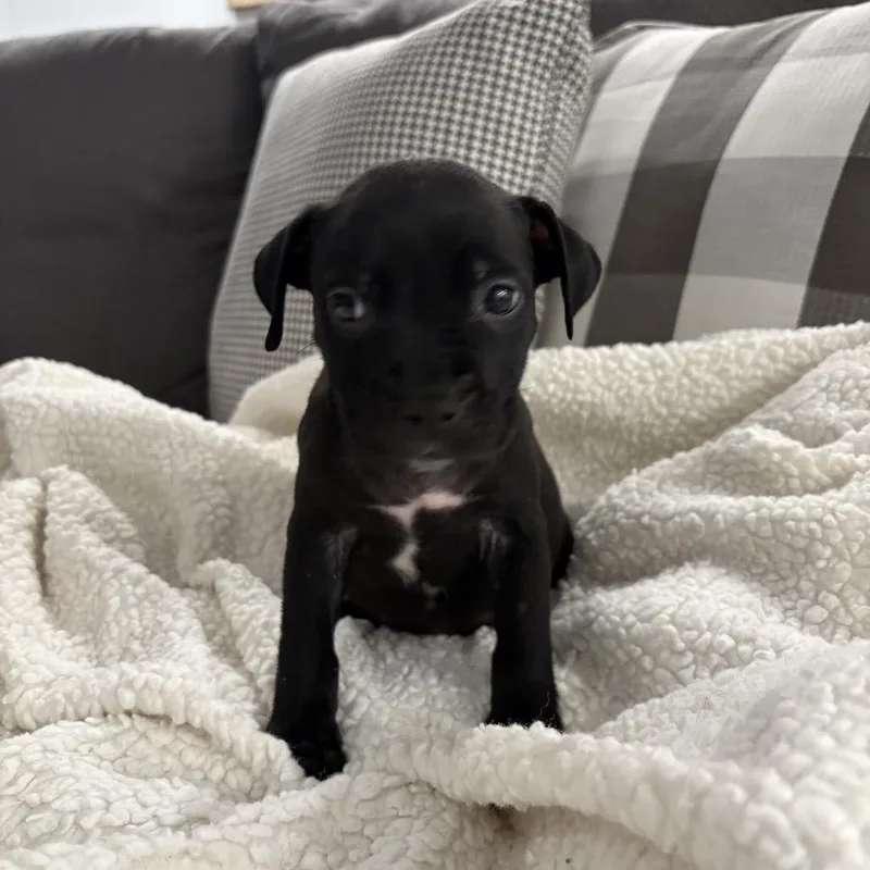 Jane ~ Coming Soon!!! thumbnail 2