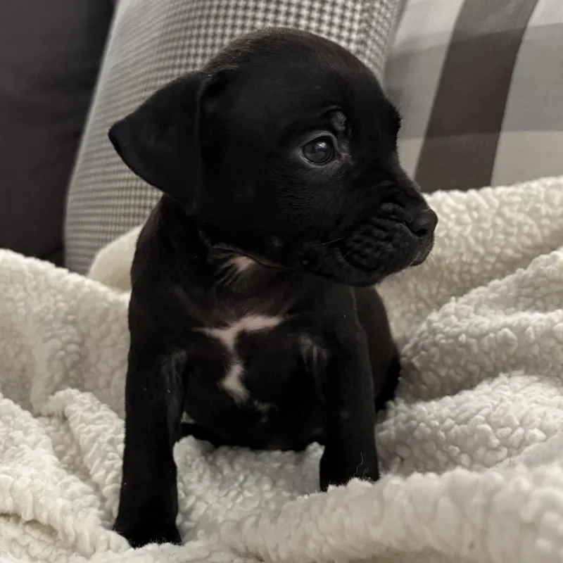 Jane ~ Coming Soon!!! thumbnail 3