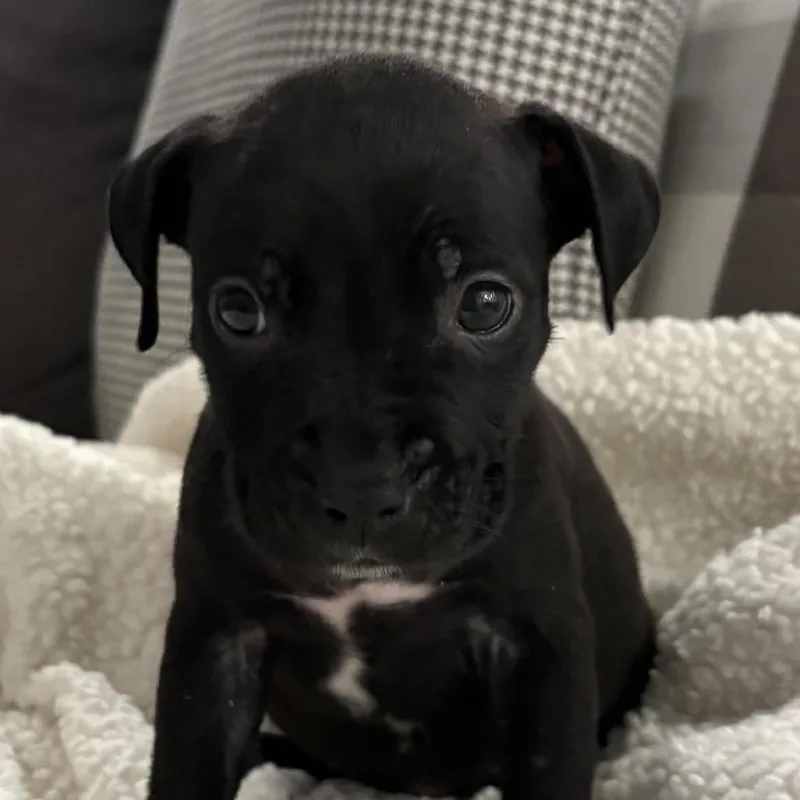 Jane ~ Coming Soon!!! thumbnail 4