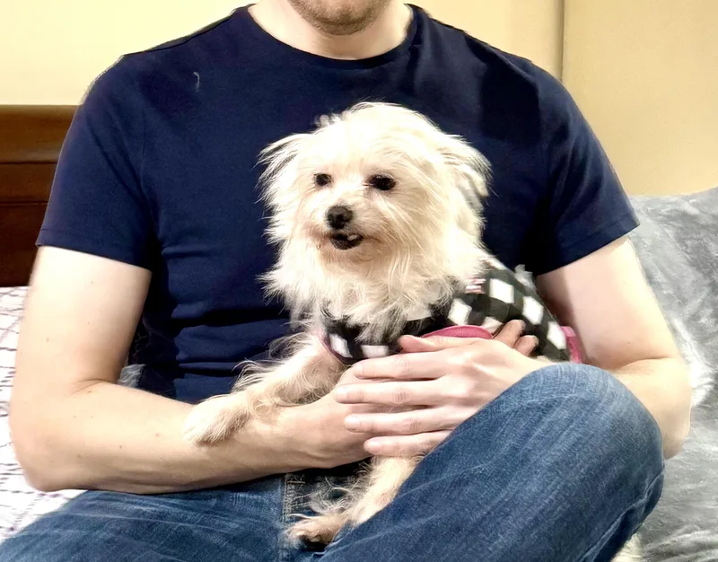 Anastasia thumbnail 5