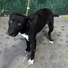 Espresso thumbnail 2